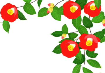 山茶花