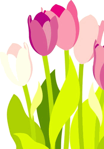 チューリップ